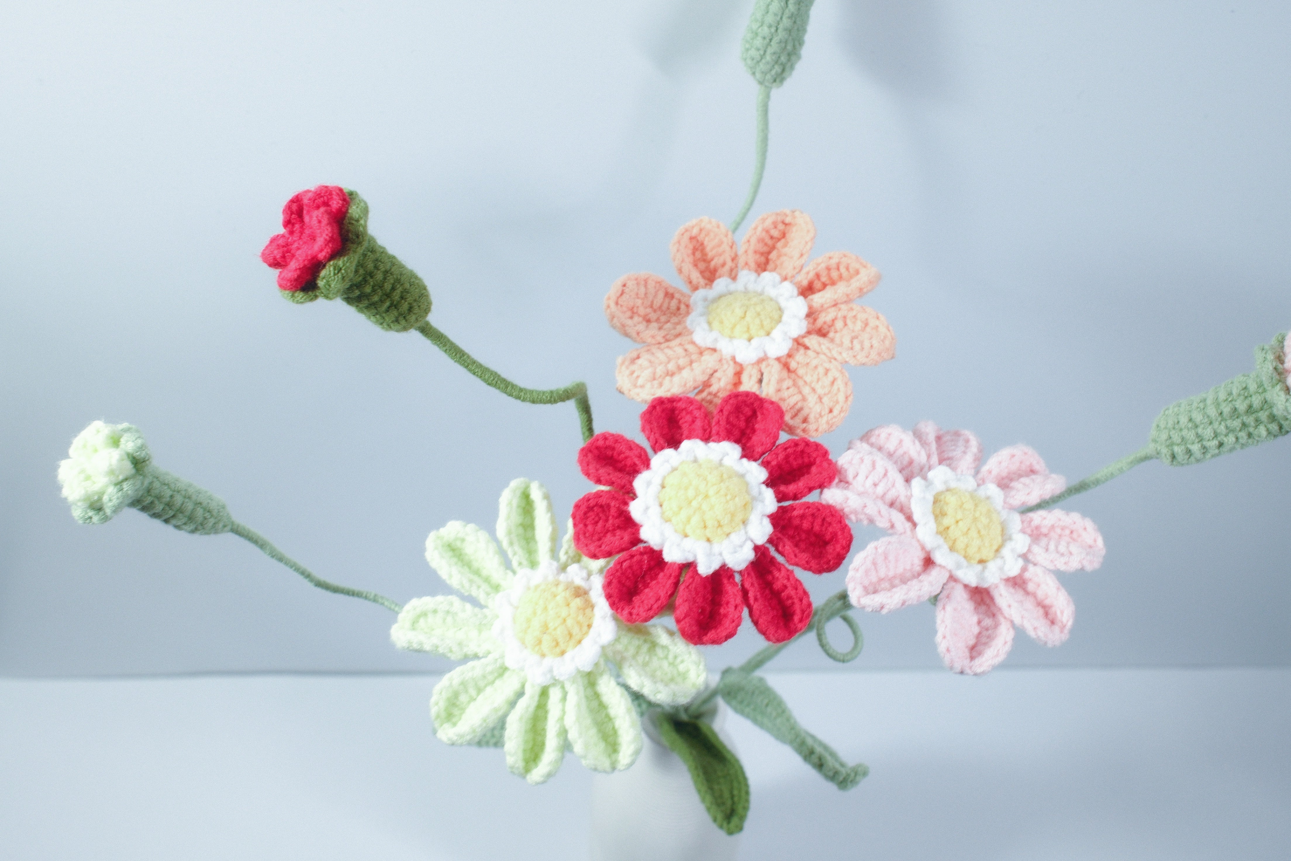 Zinnia | Single-layered Petals