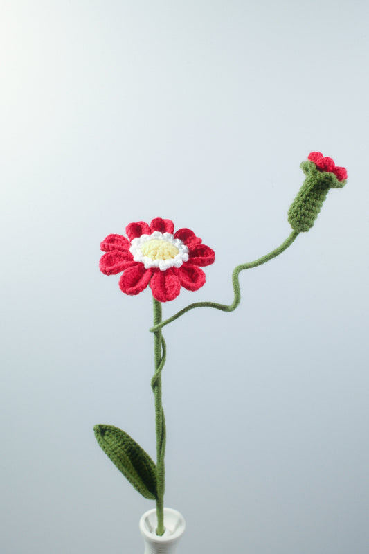 Zinnia | Single-layered Petals