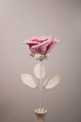Rouge Rose | Unique Color