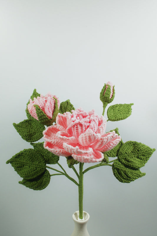 Peony Anthemy
