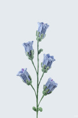 Canterbury Bells