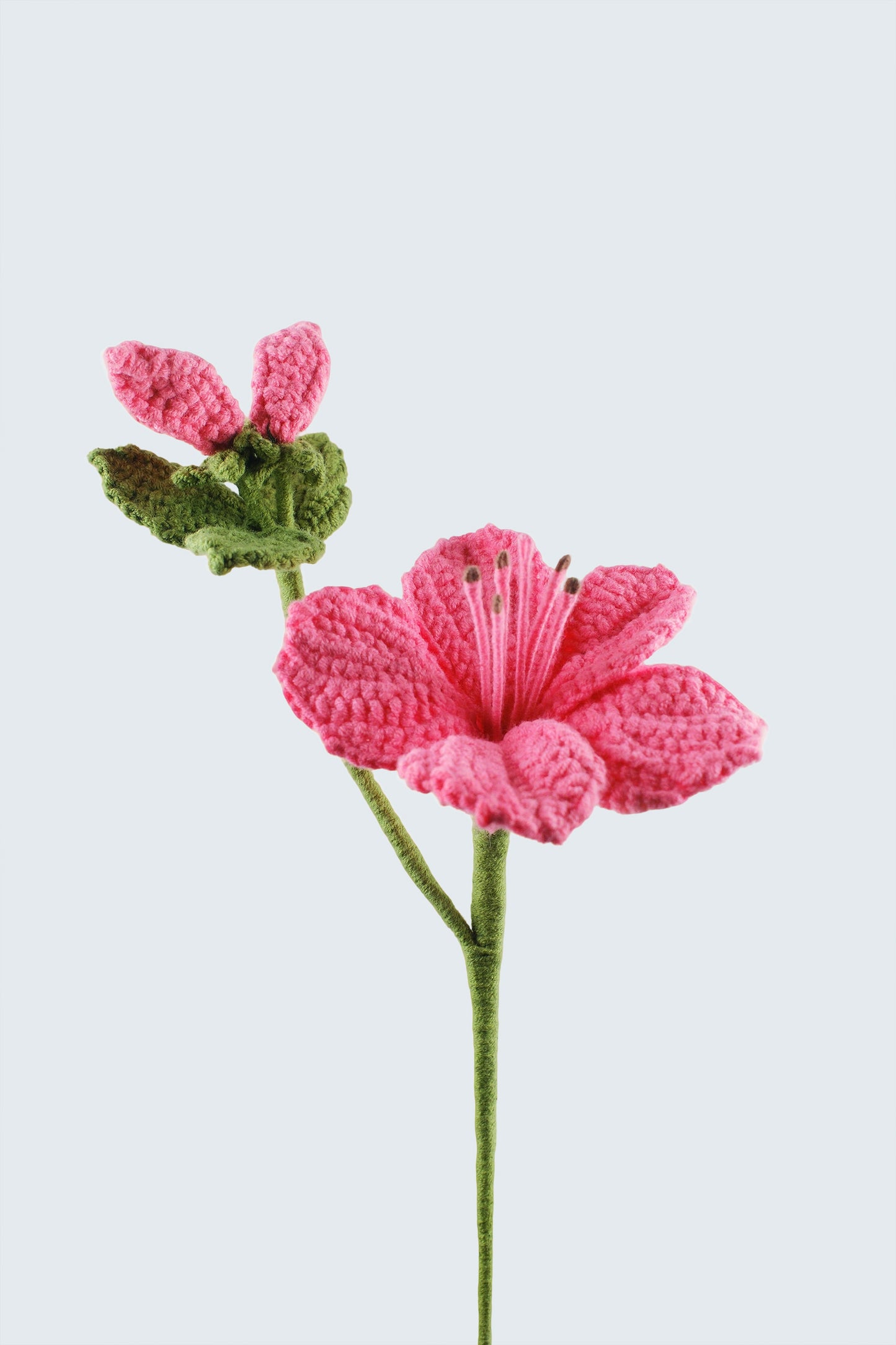 Azalea