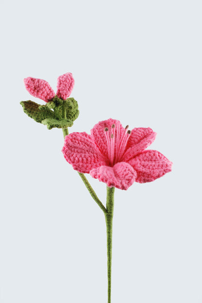 Azalea