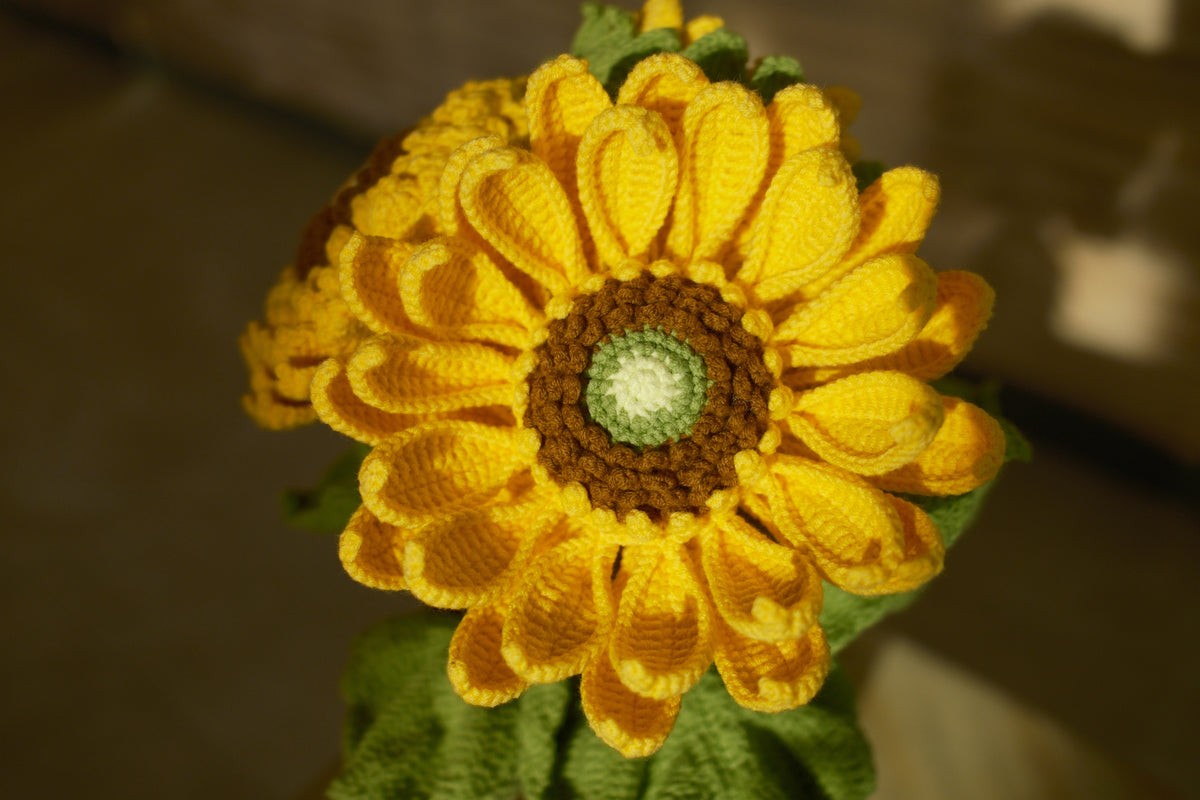 Van Gogh's Sunflower