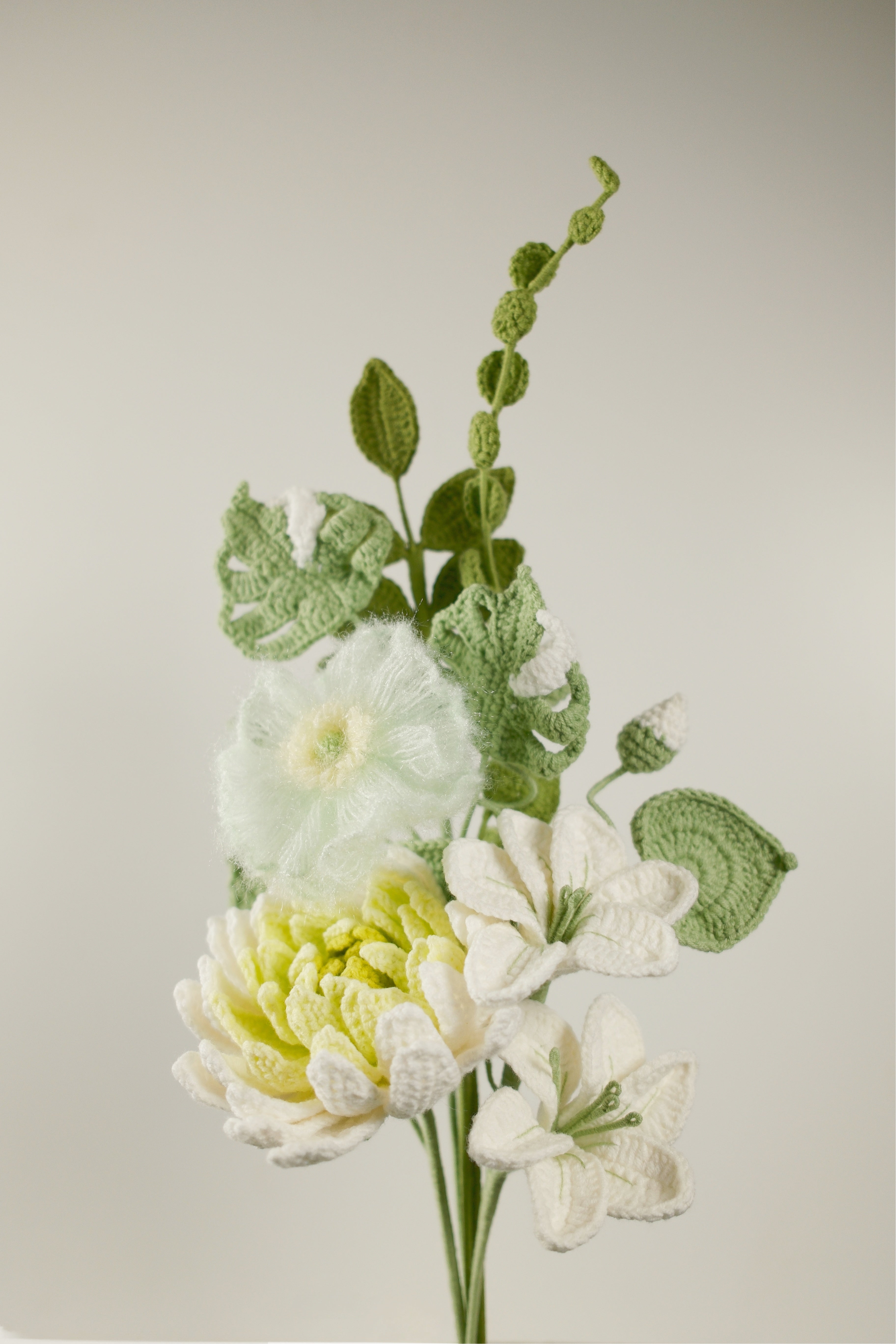 Quiet Dahlia