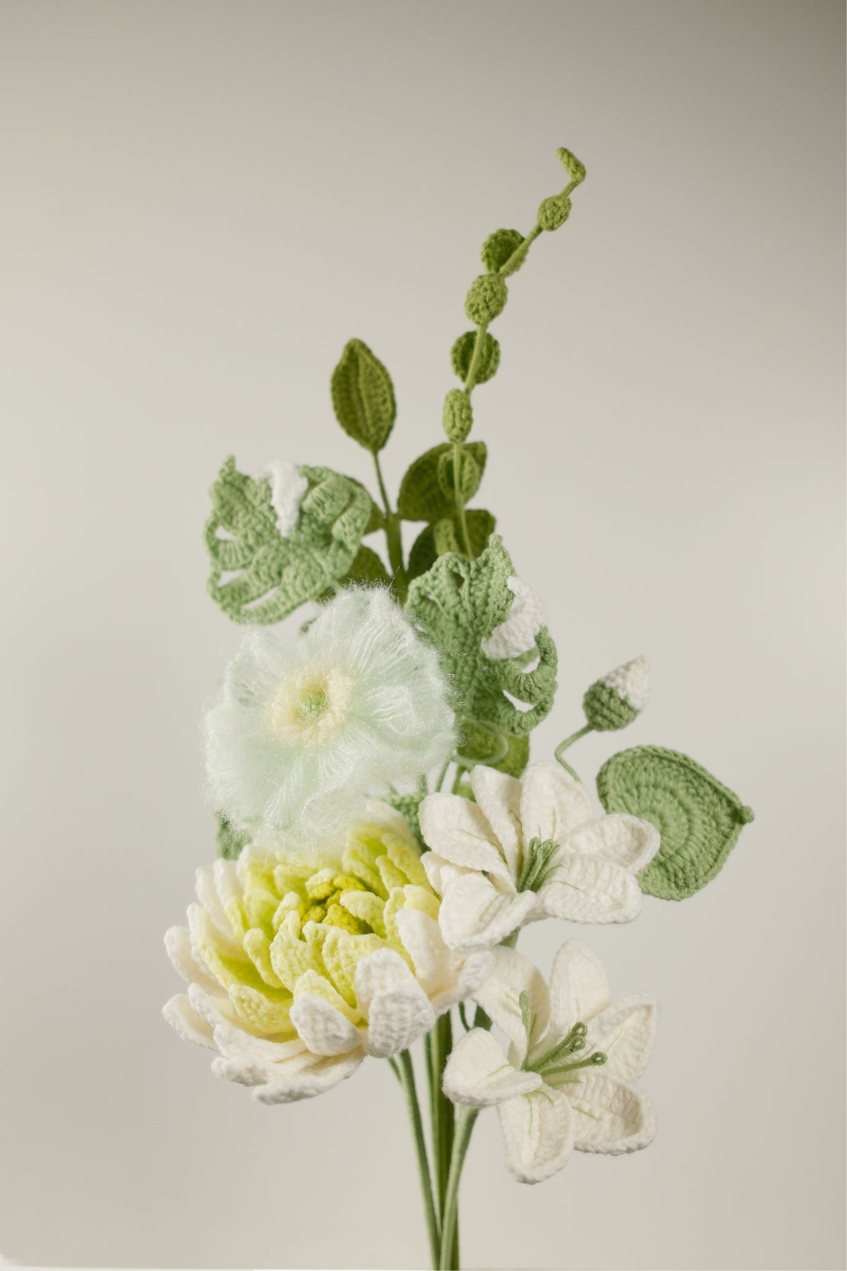 Quiet Dahlia