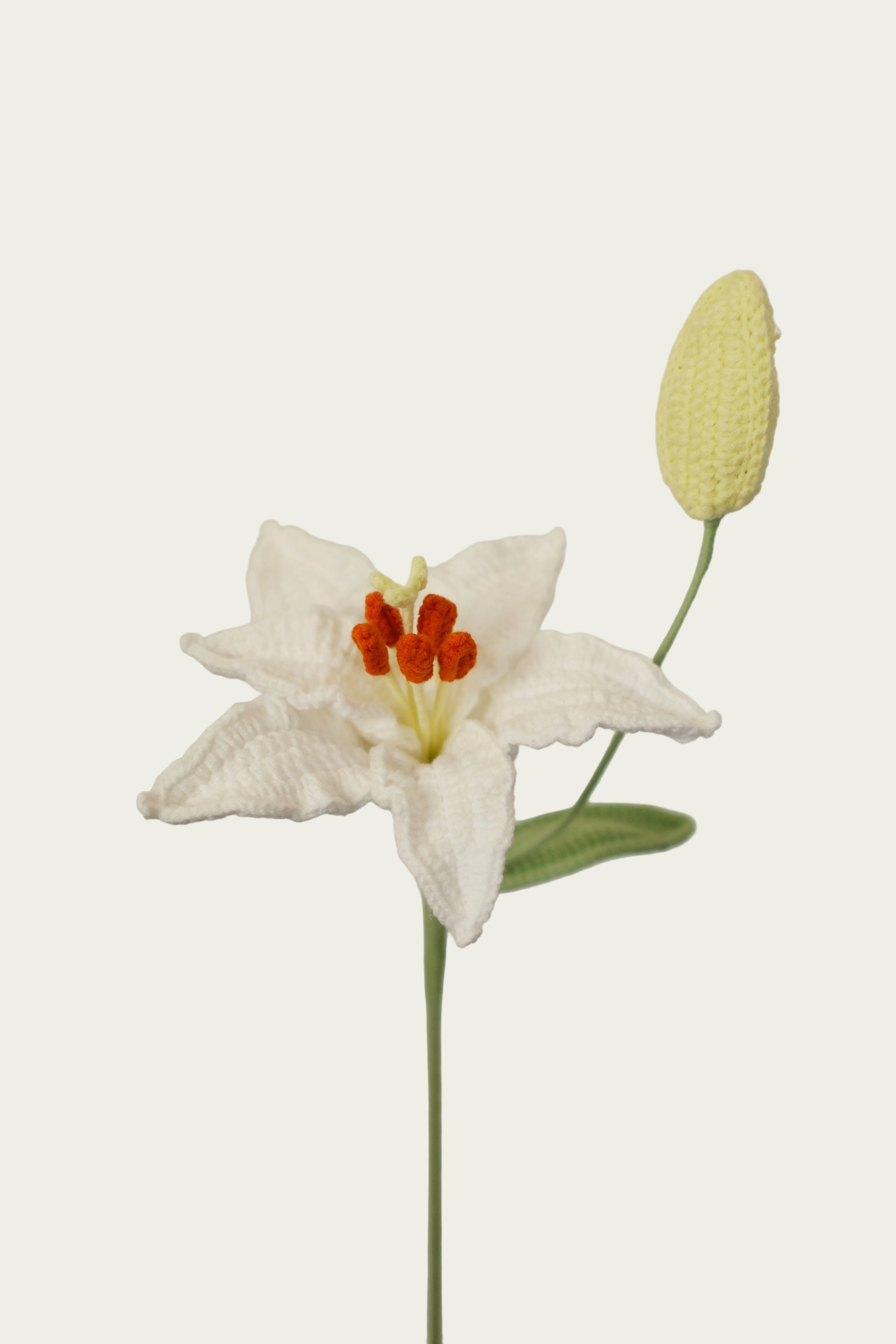 Lily