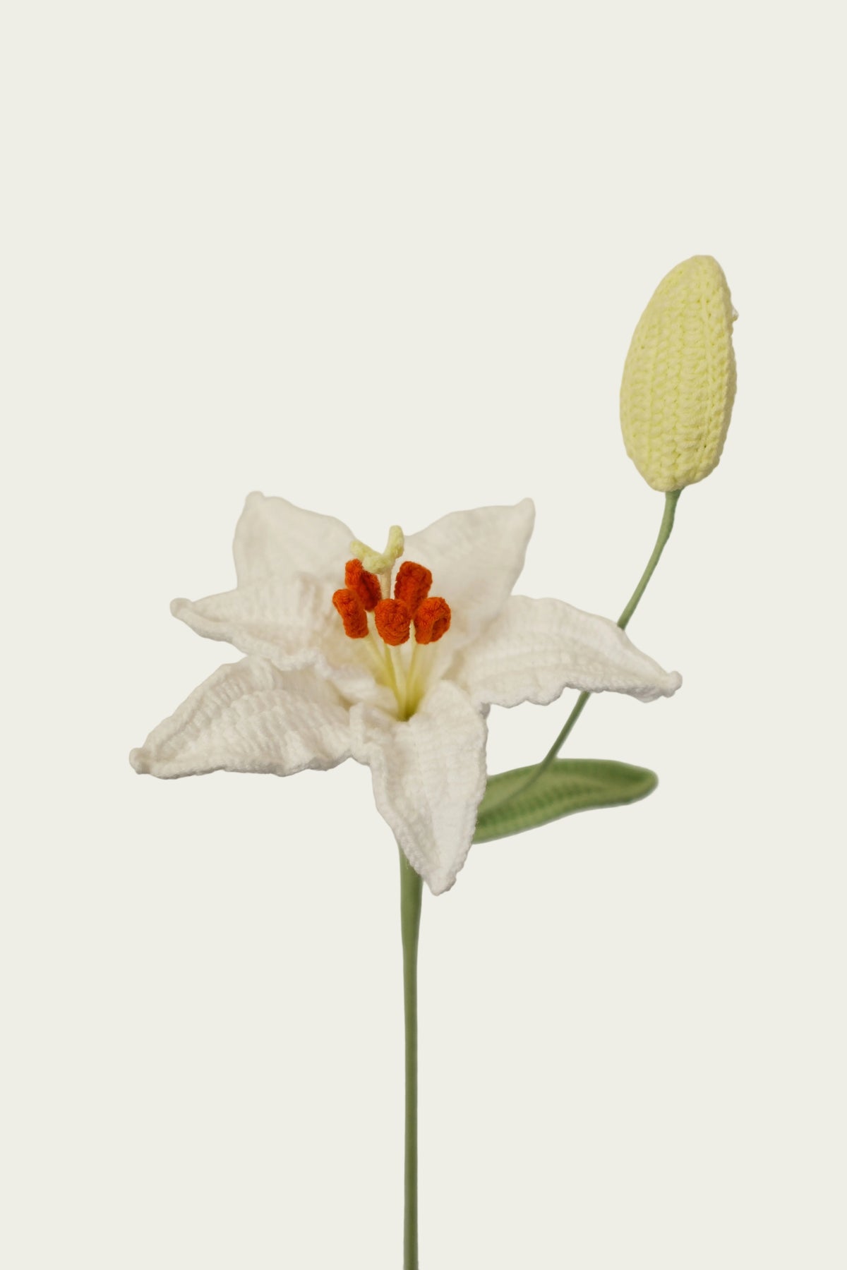 Lily