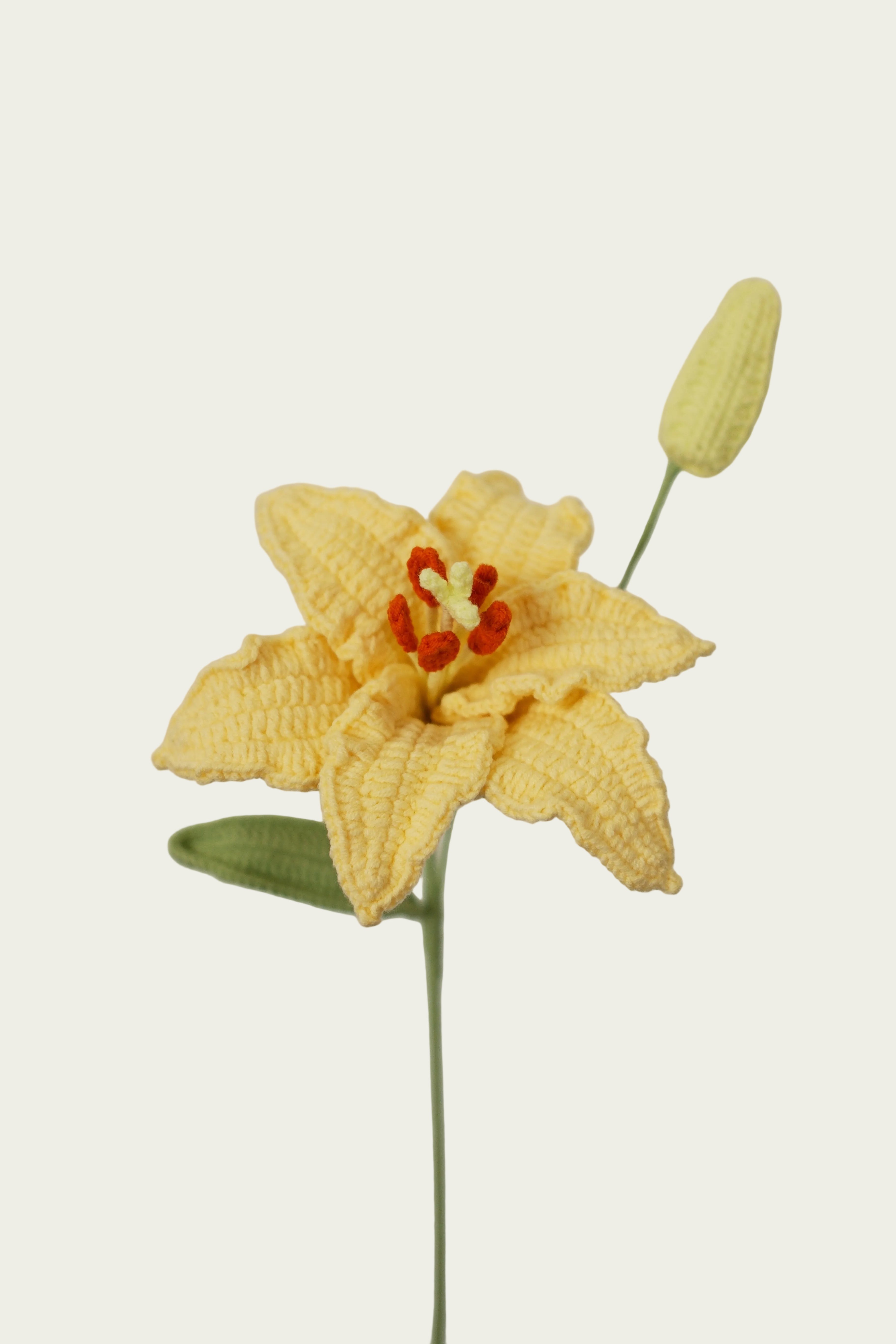 Lily