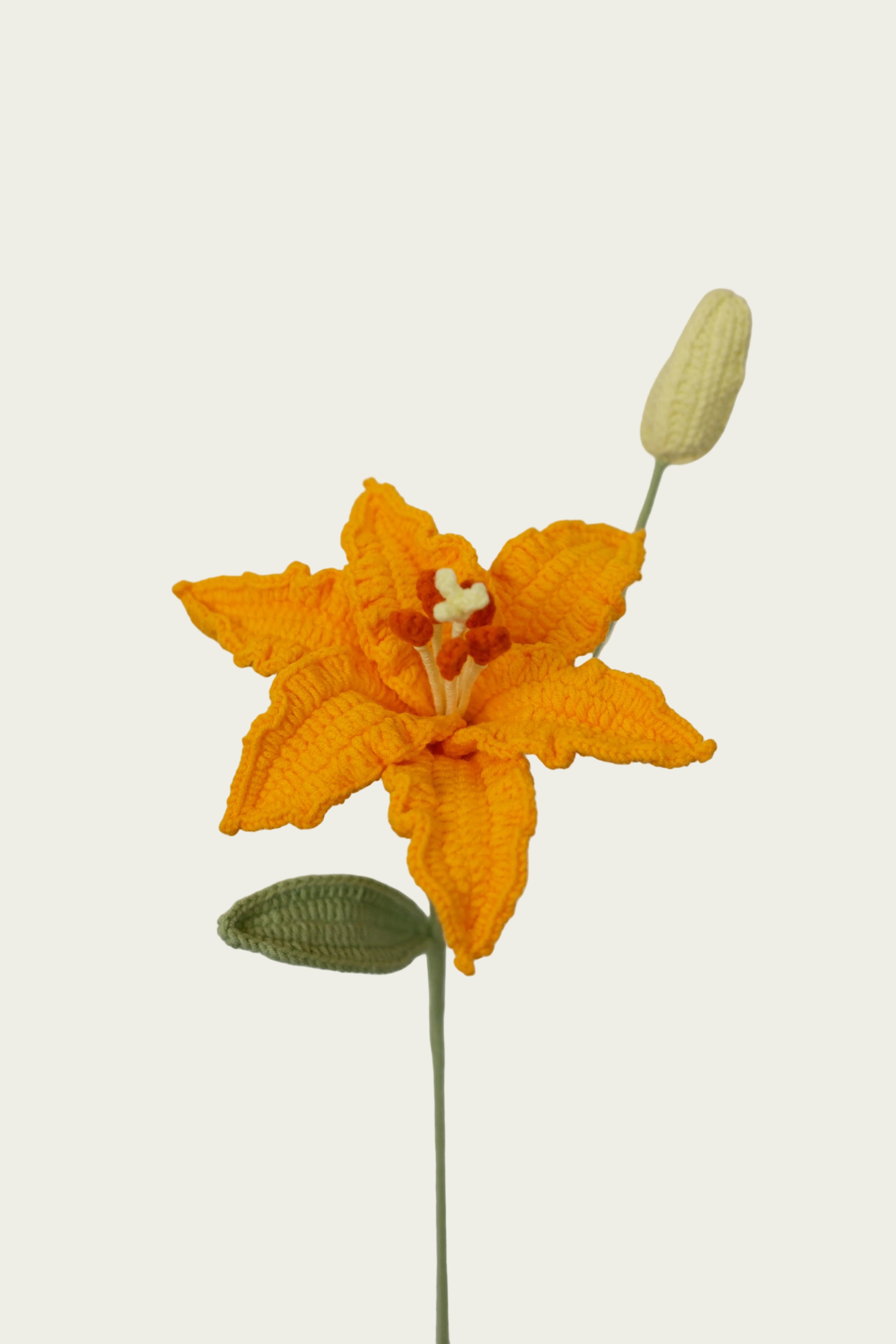 Lily
