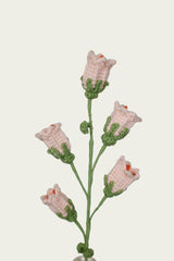 Canterbury Bells
