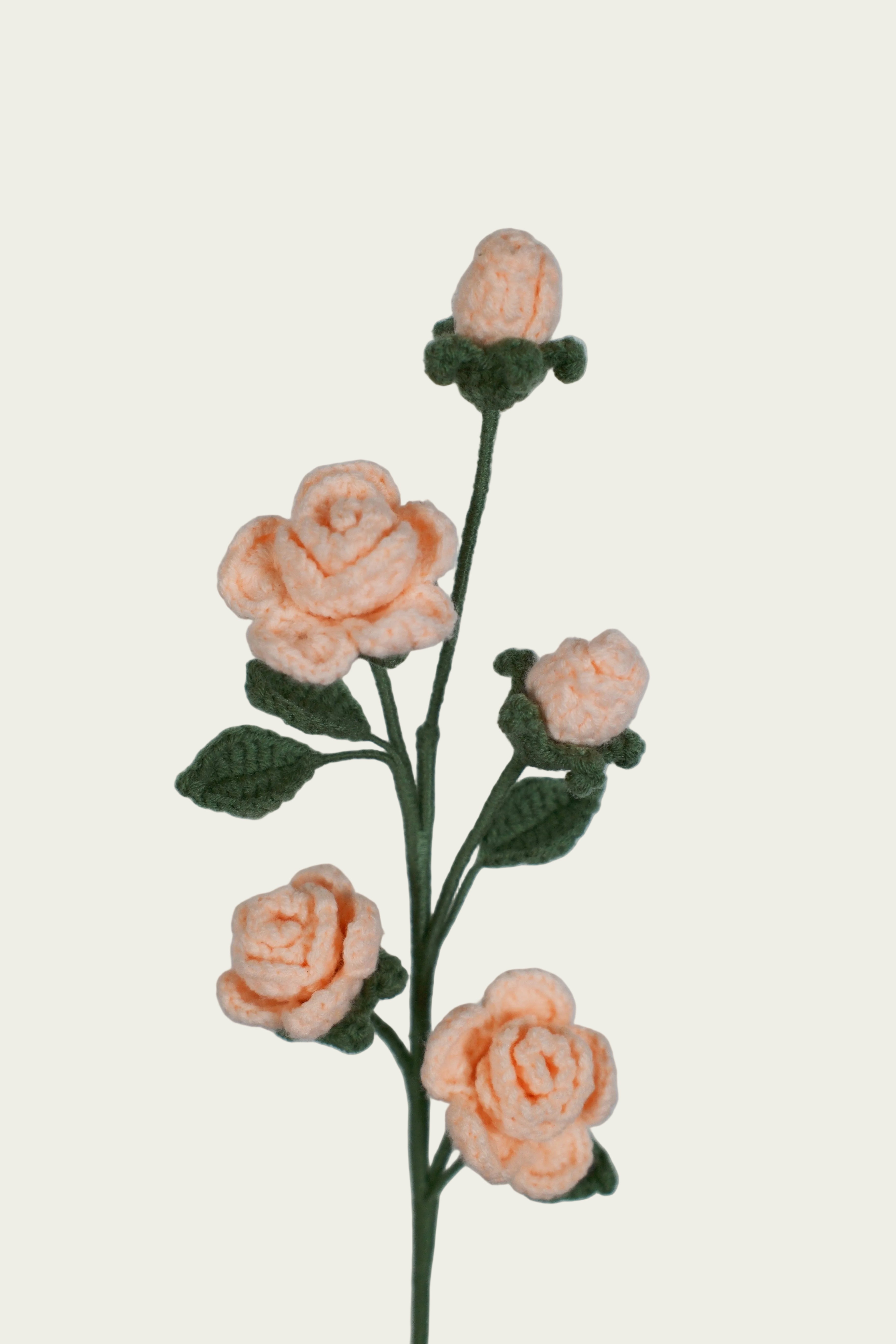 Barbie Rose