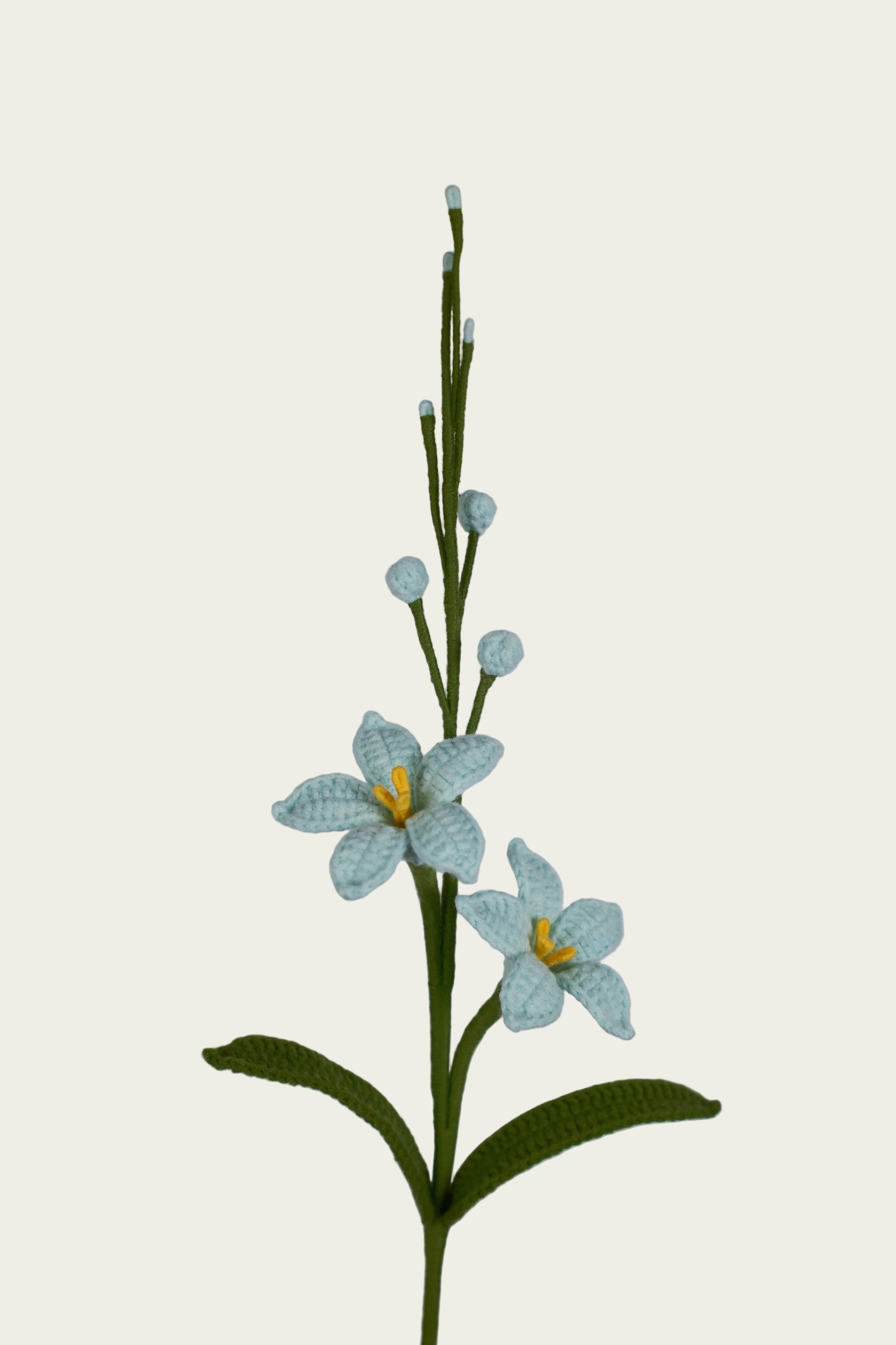 Renanthera Orchid