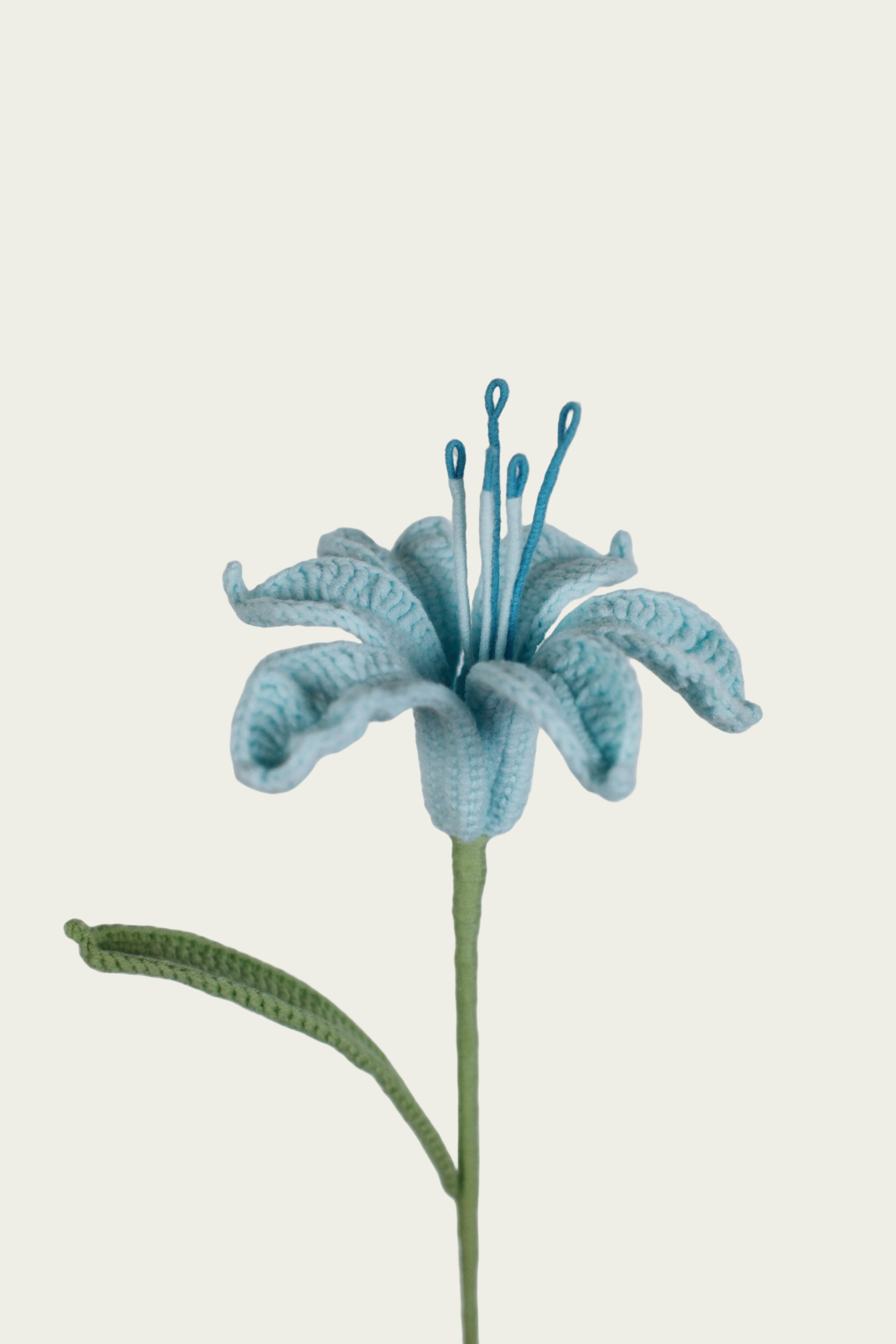 Peruvian Lily