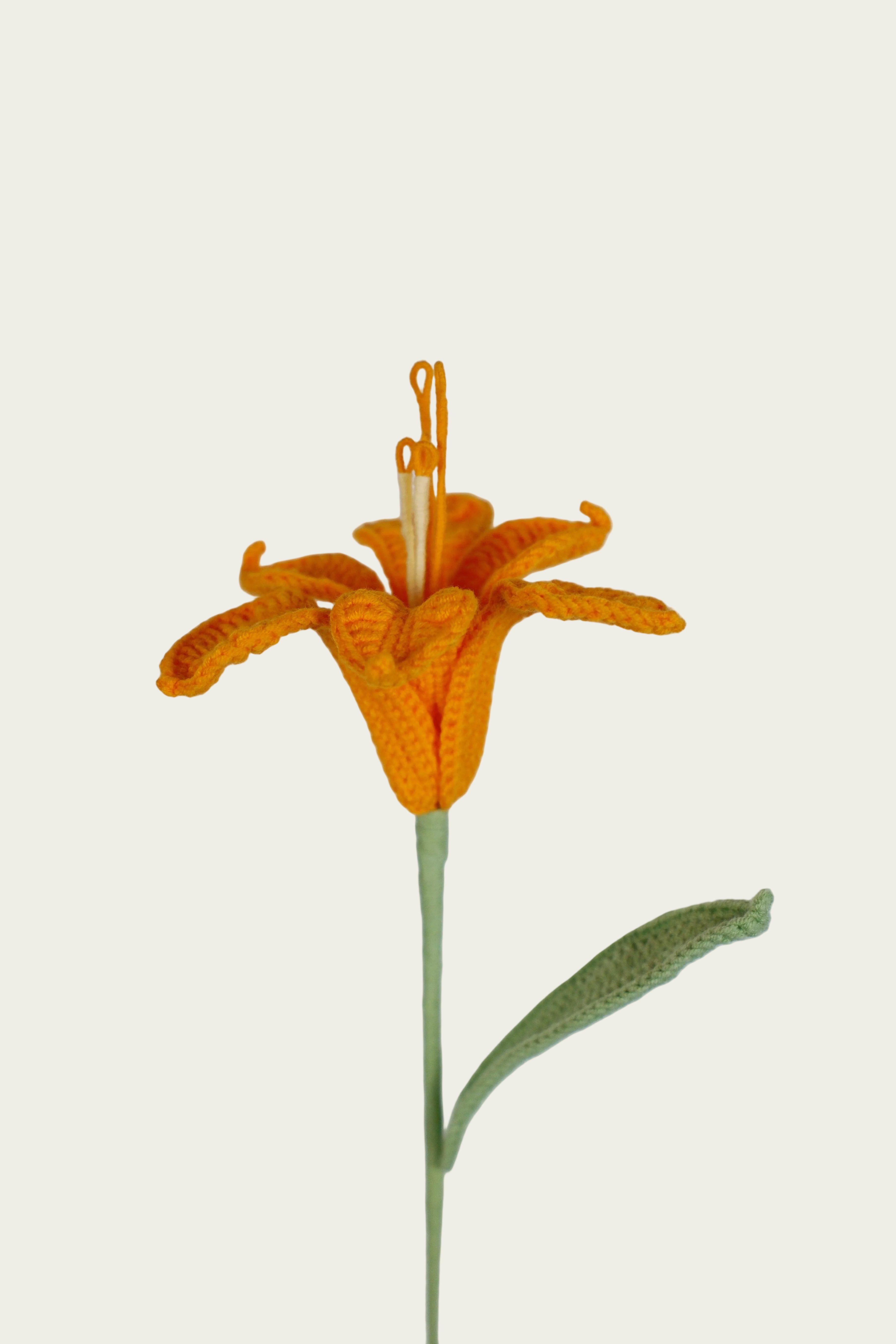 Peruvian Lily