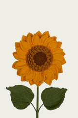 Sunflower | Double-layered leaves