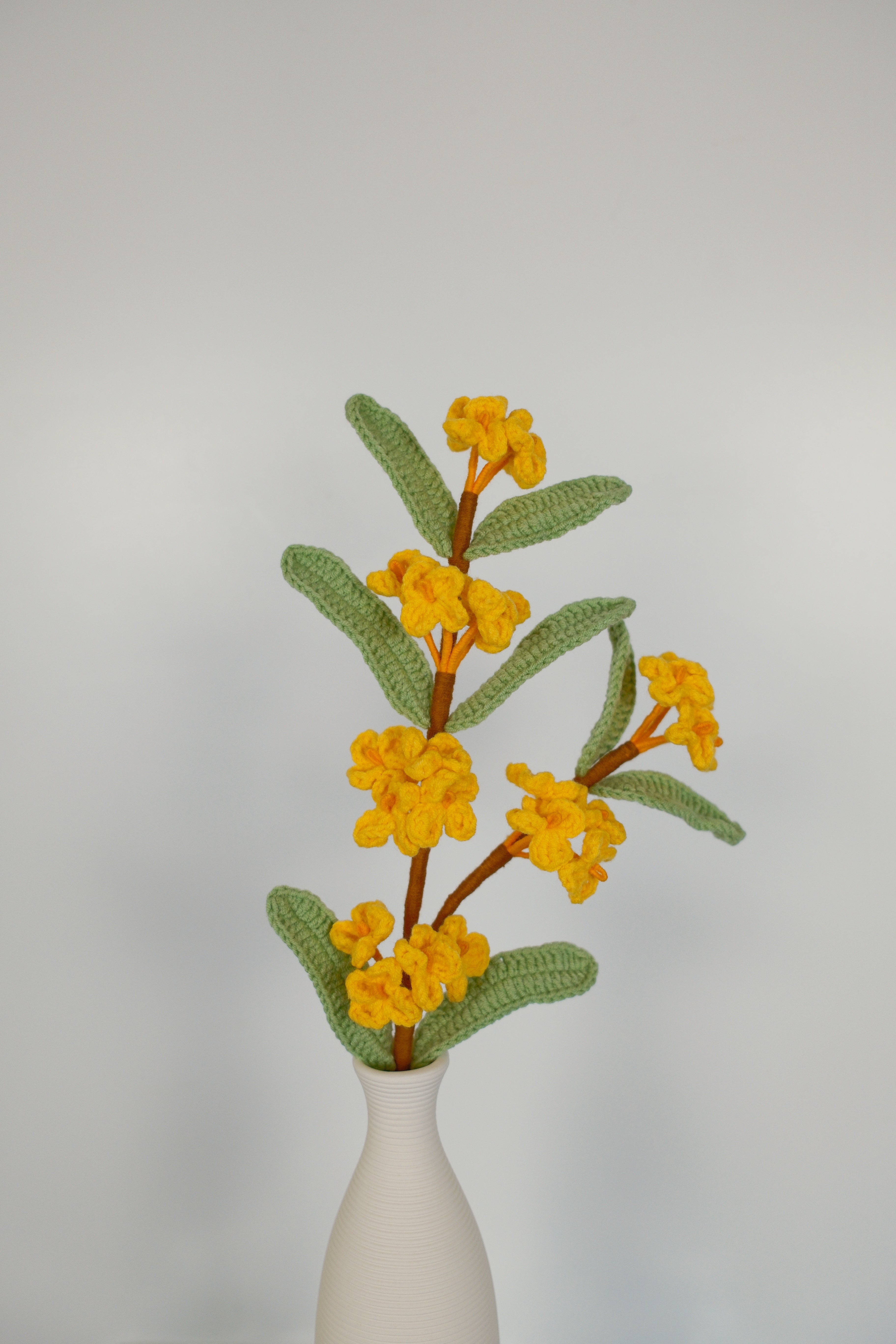 Osmanthus