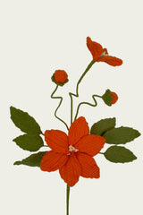 Whitewood Flower