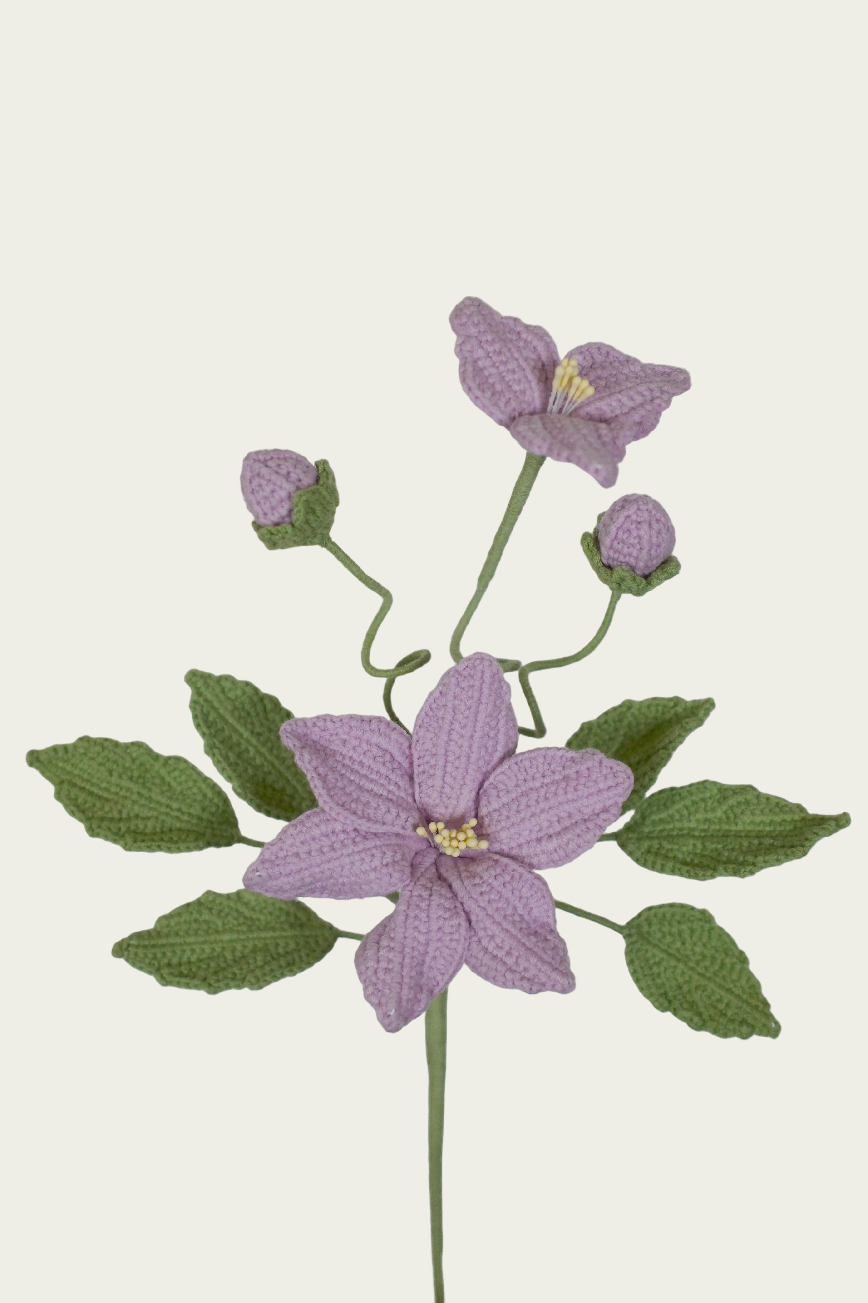 Whitewood Flower