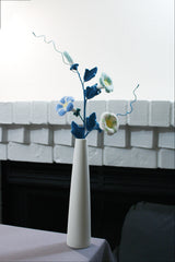 Convolvulus | Morning Glory