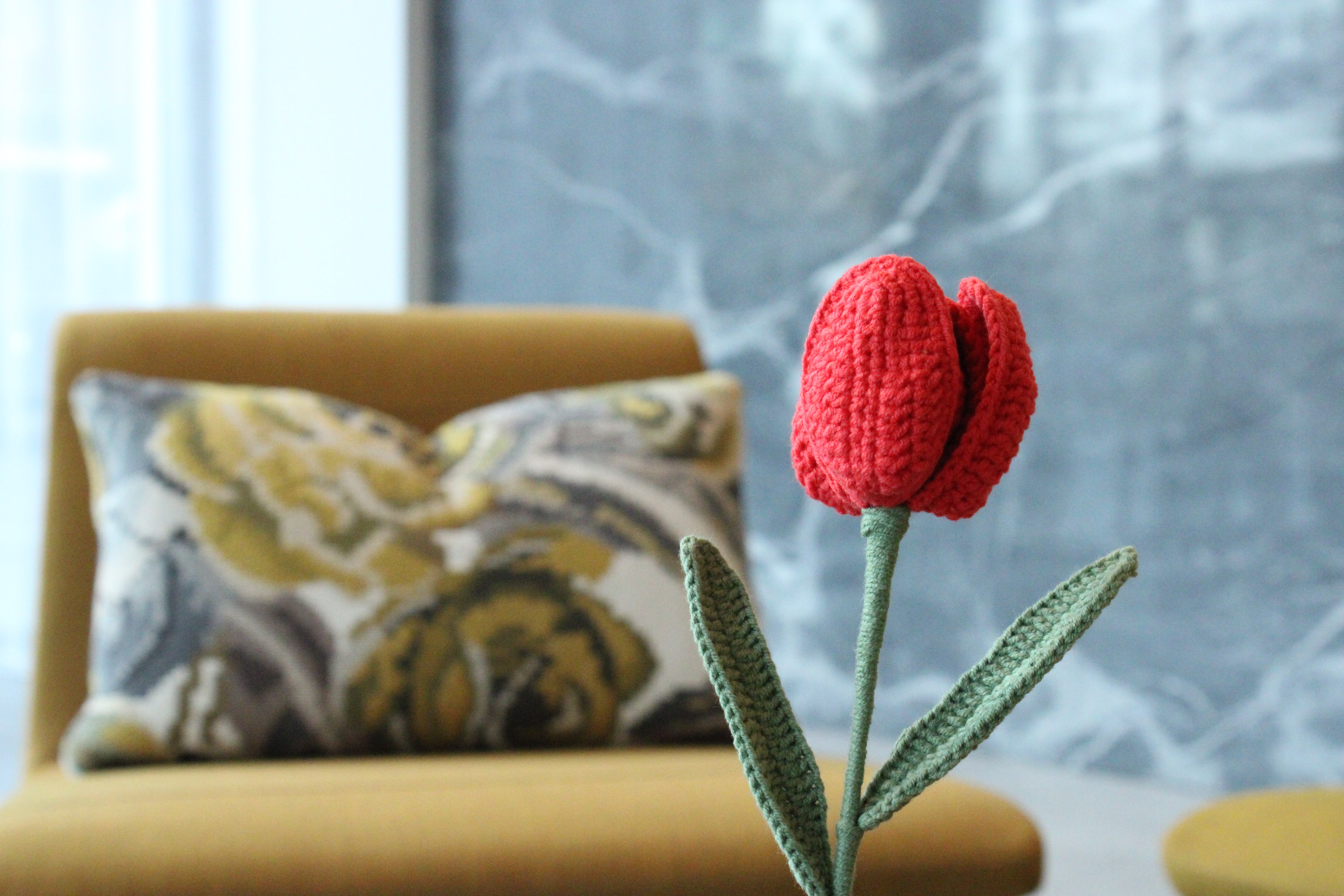 Tulip | Rainbow-colored Flower