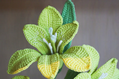 Six-pointed Flower | Grass-Green Flower