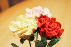Duchess of Cambridge Rose | Red Rose