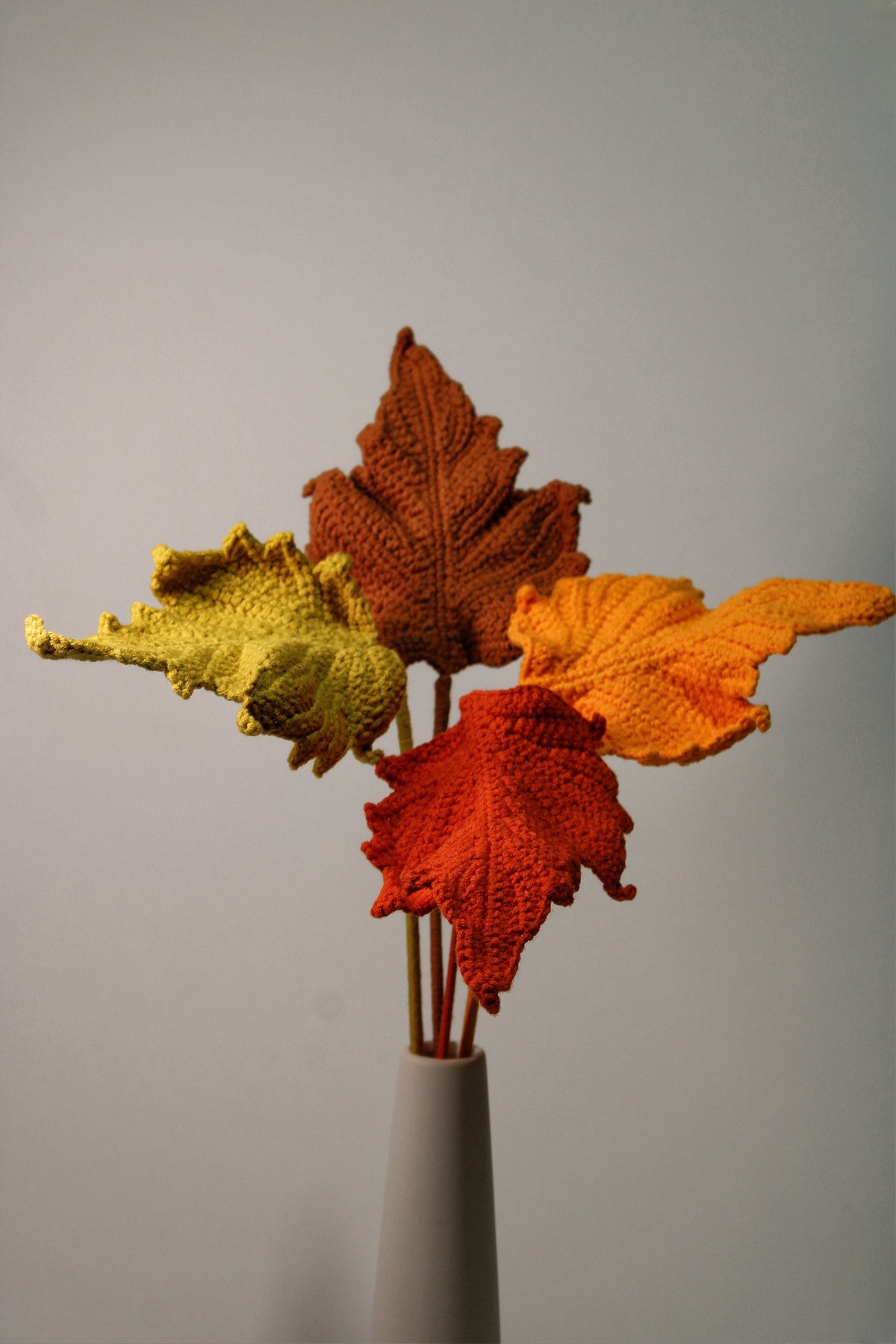 Maple Leaf | Autumn Leaves