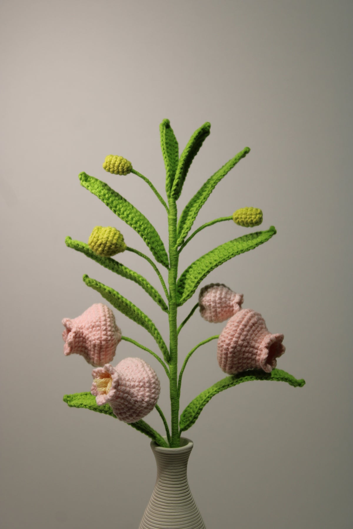 Lilium lancifolium | Palace Lantern Lilies