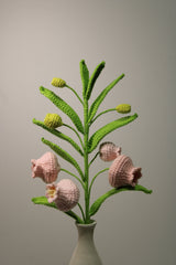 Lilium lancifolium | Palace Lantern Lilies