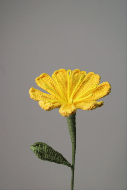 Moss Rose | Yellow Rose
