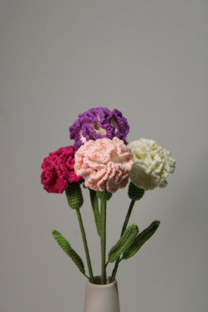 Carnation | Clove Pink