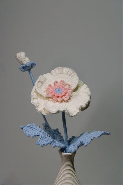 Corn Poppy | Corn Rose