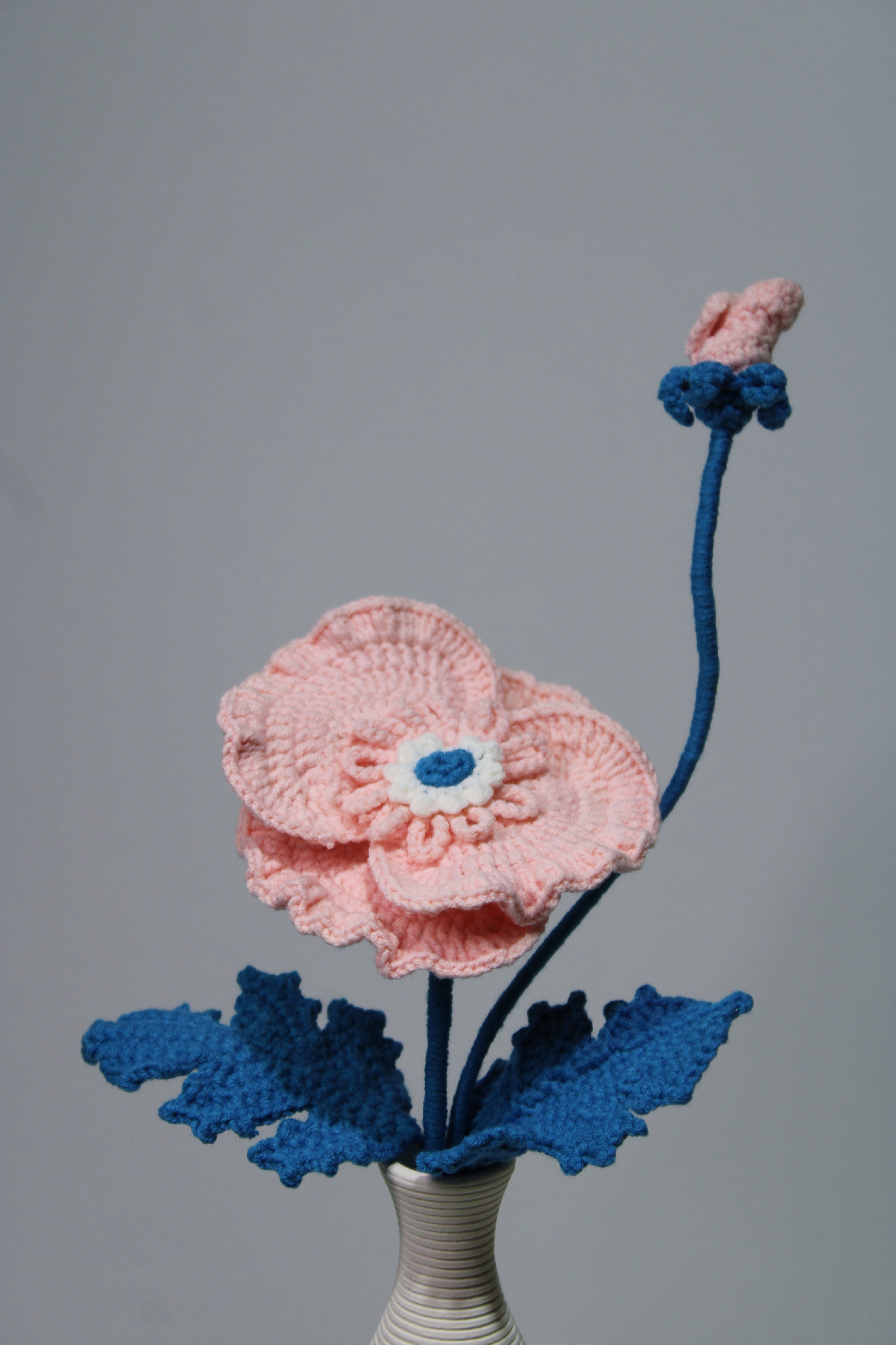 Corn Poppy | Corn Rose