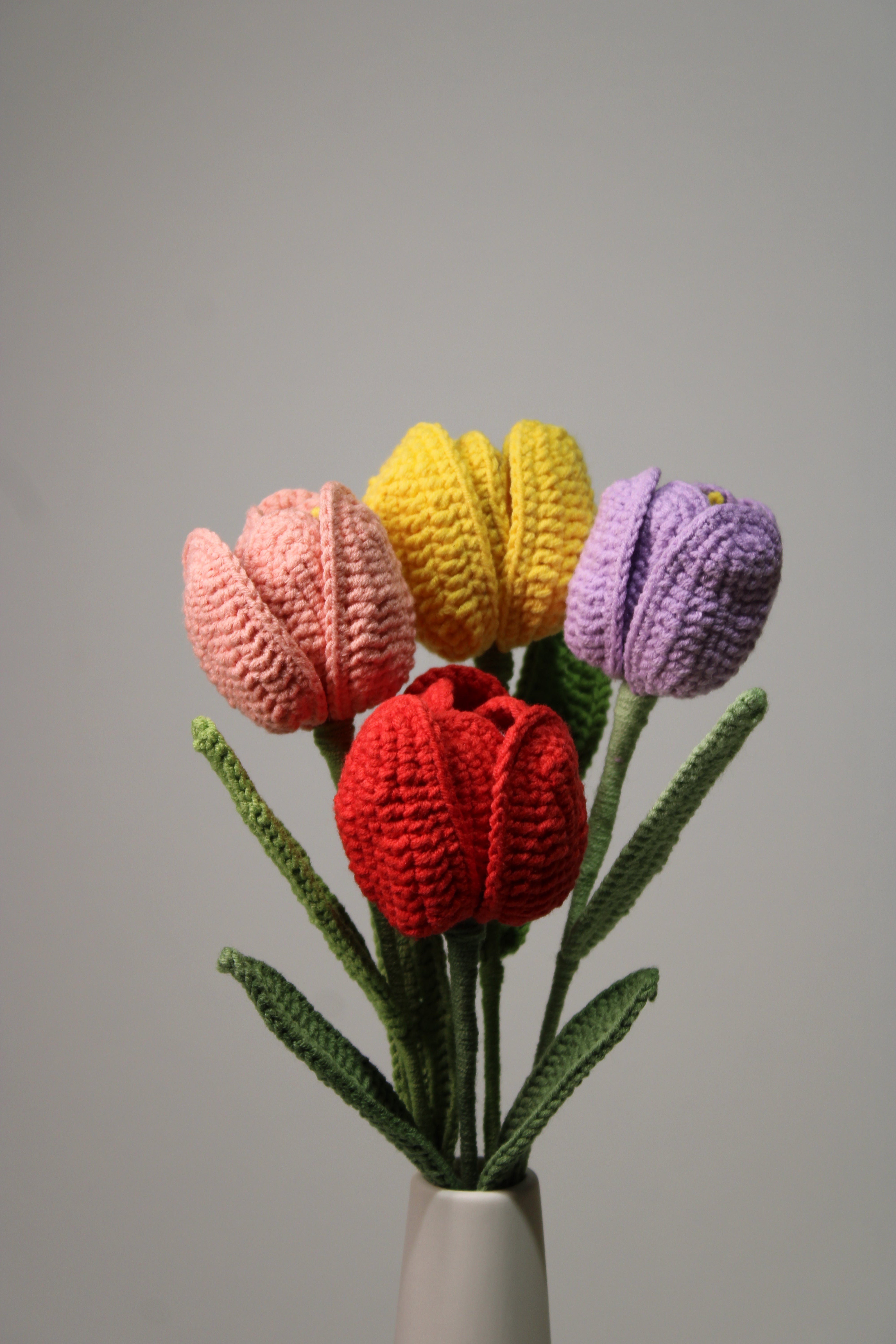 Tulip | Rainbow-colored Flower