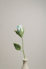 Miniature Rose | Blue Rose