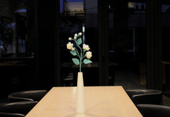 Jasmine | White Jasmine