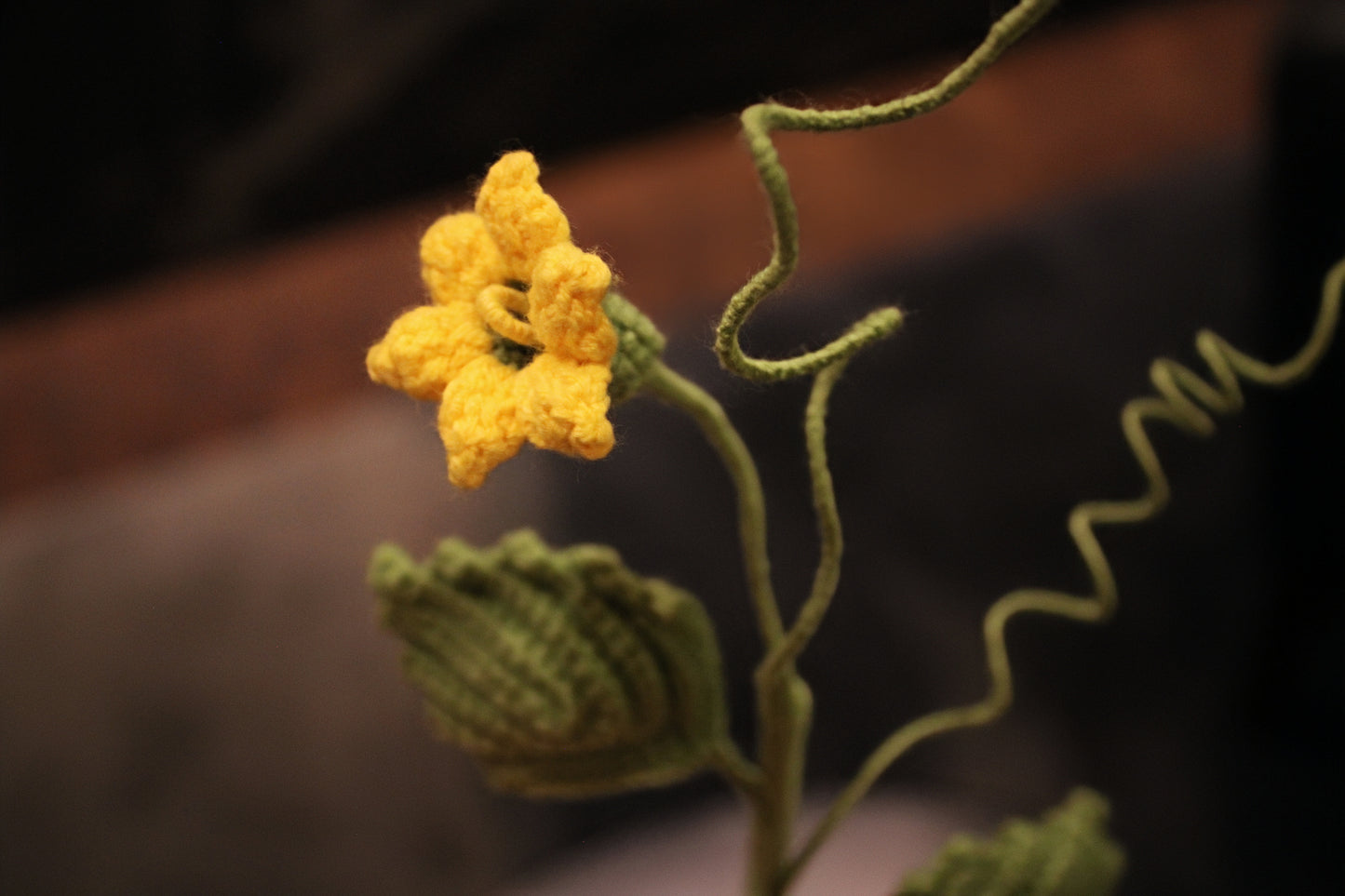 Pumpkin Flower | Pumpkin Vine