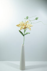 Gloriosa Lily