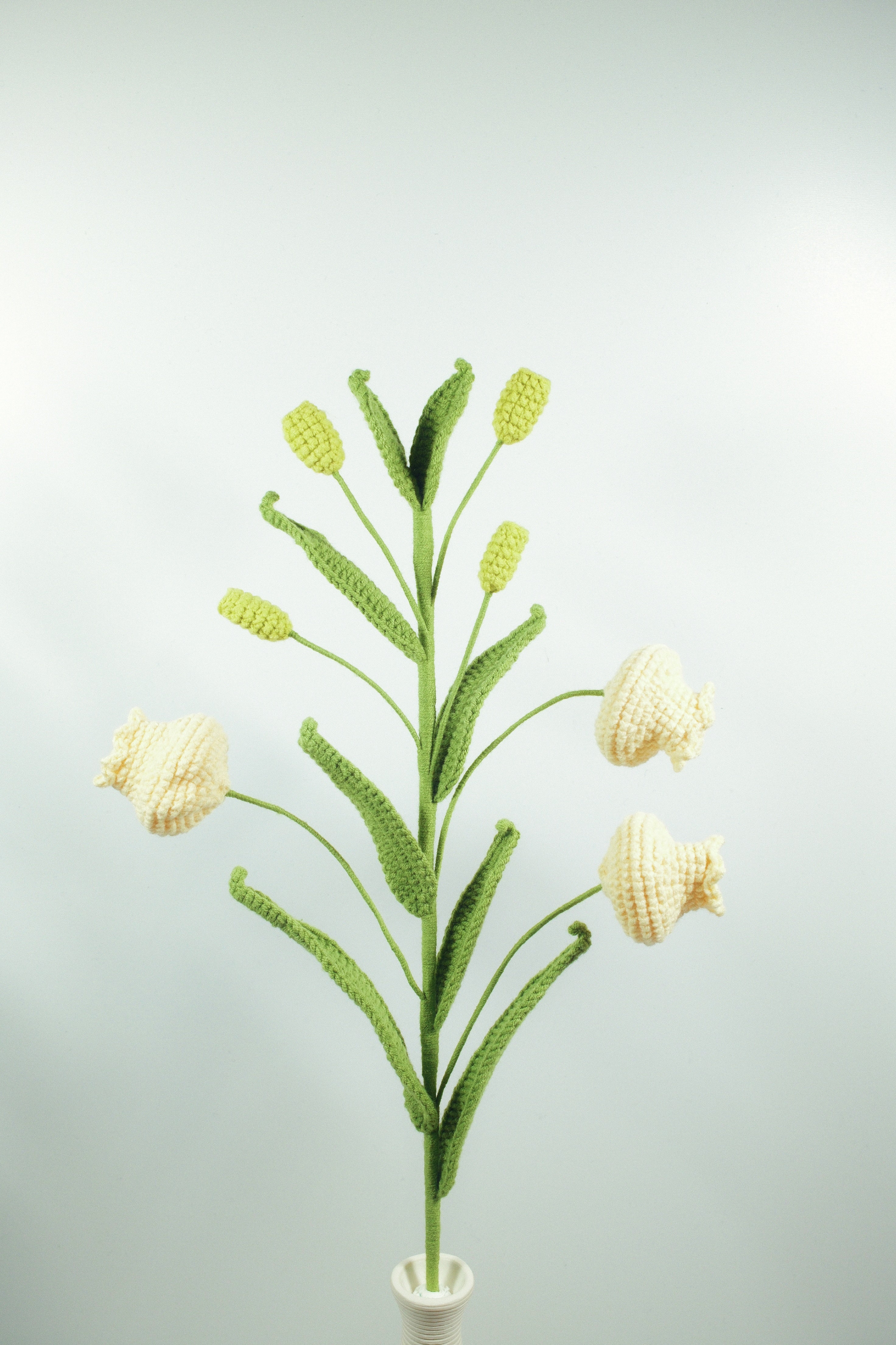 Lilium lancifolium | Palace Lantern Lilies