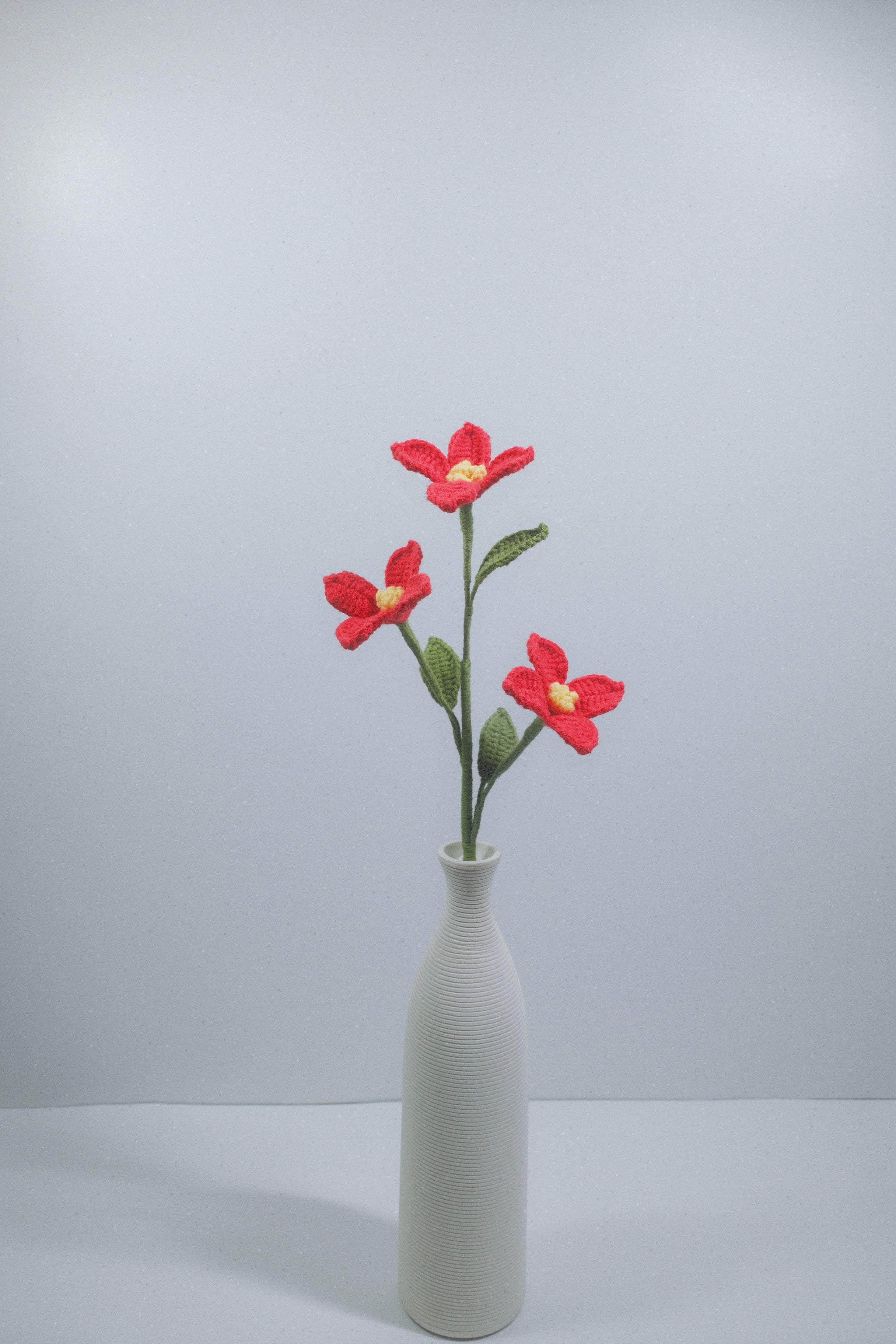 Torenia