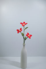 Torenia