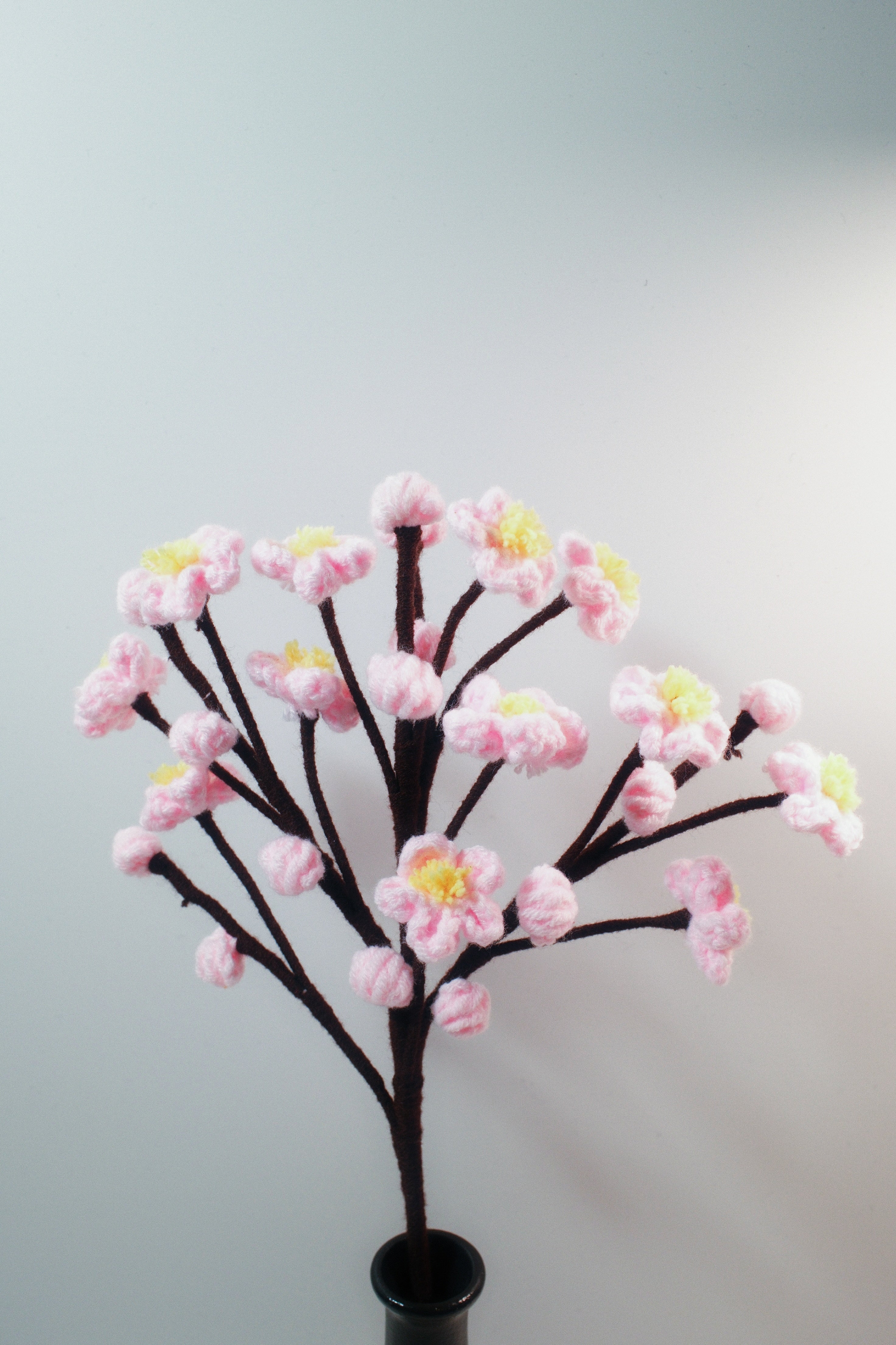 Japanese Cherry