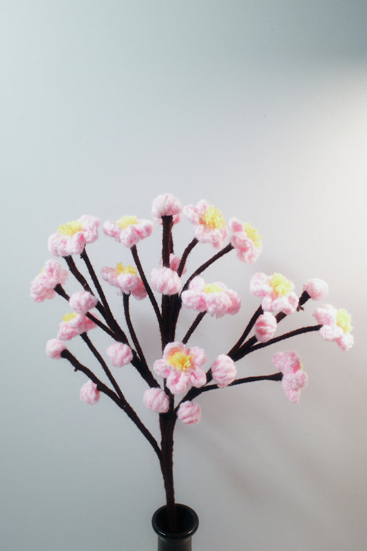 Japanese Cherry