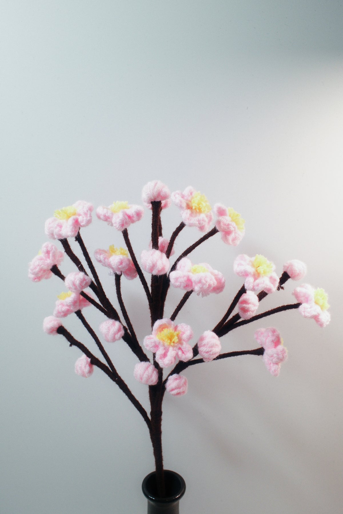 Japanese Cherry