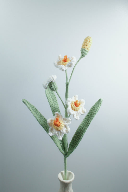 Daffodil