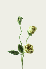 Small Gardenia