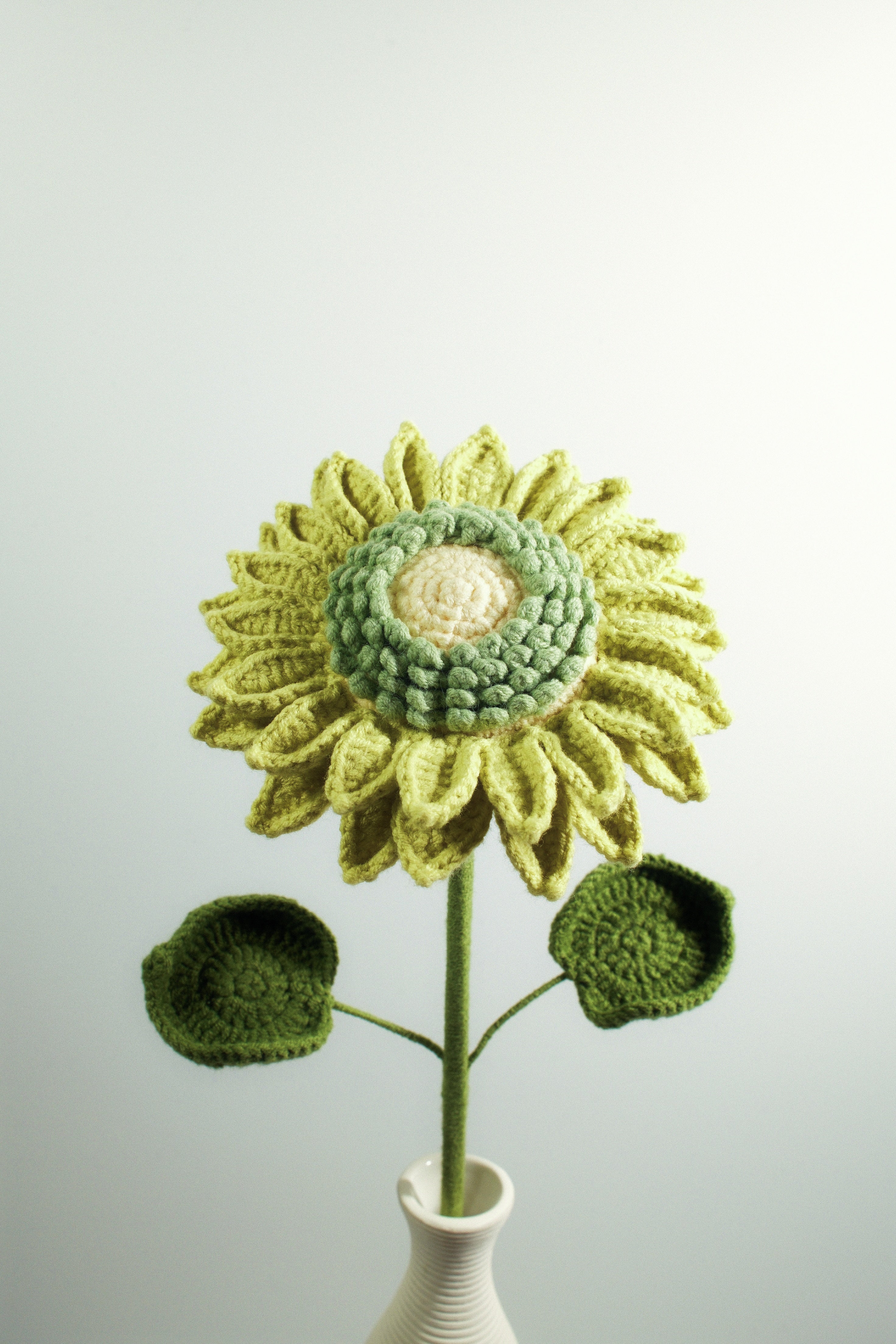Sunflower | Double-layered leaves