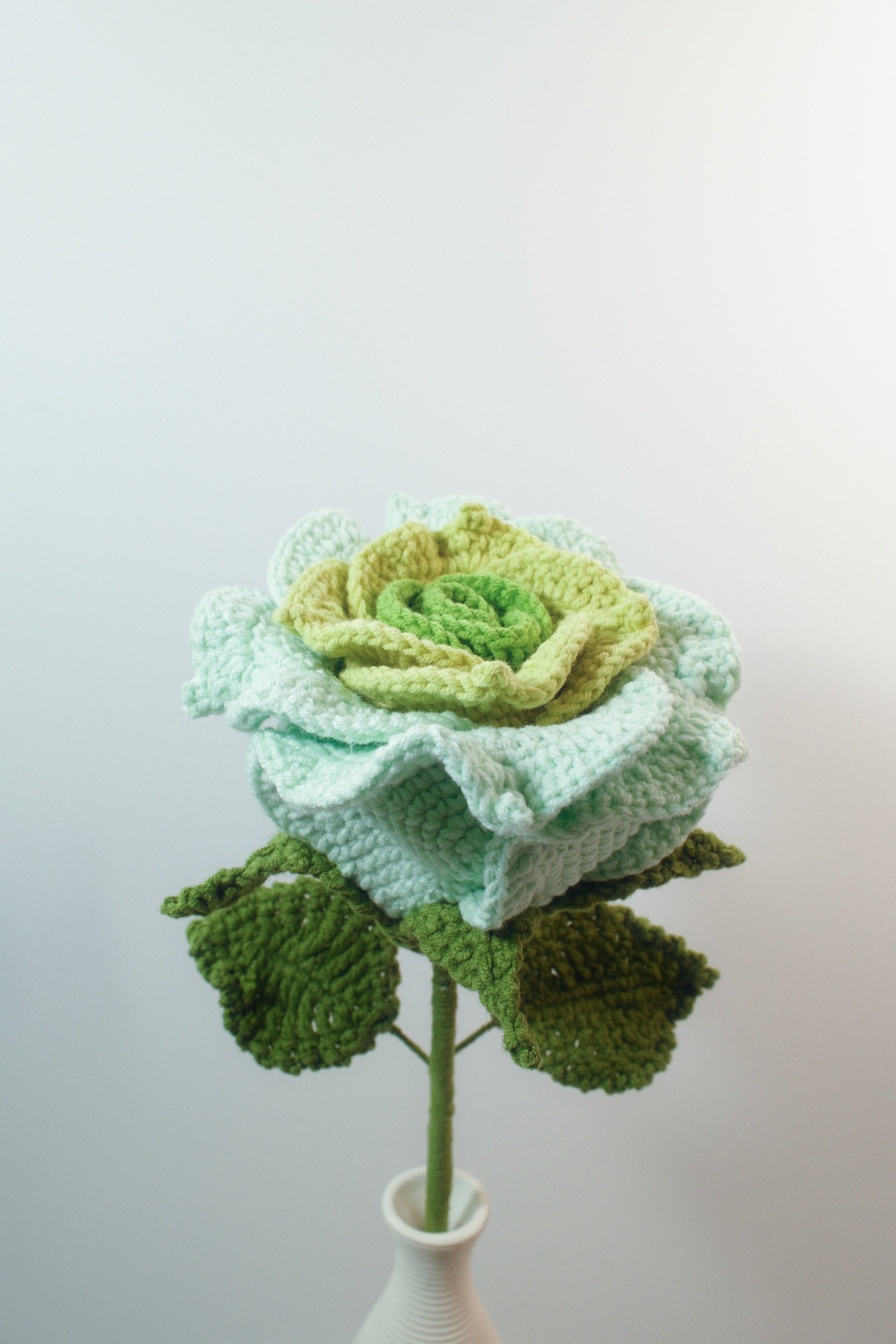 Thailand Rose