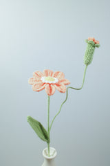Zinnia | Single-layered Petals